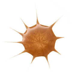 essence Contouring Y Bronceado><noscript><img width=