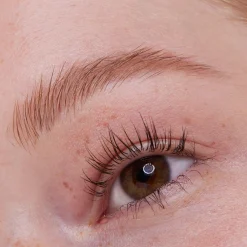 essence Cejas><noscript><img width=